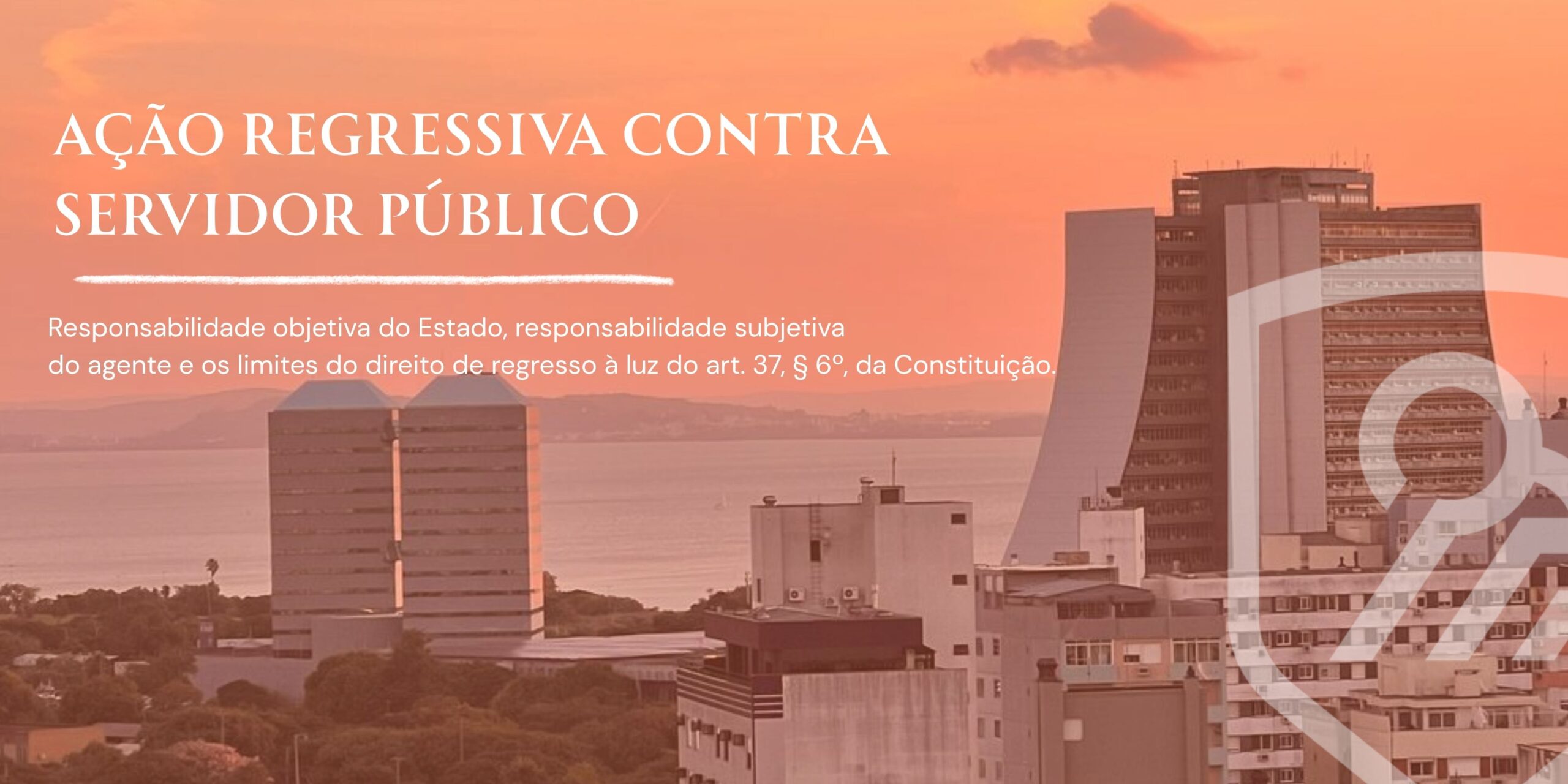 advogado orientando servidor público citado em ação regressiva contra servidor público