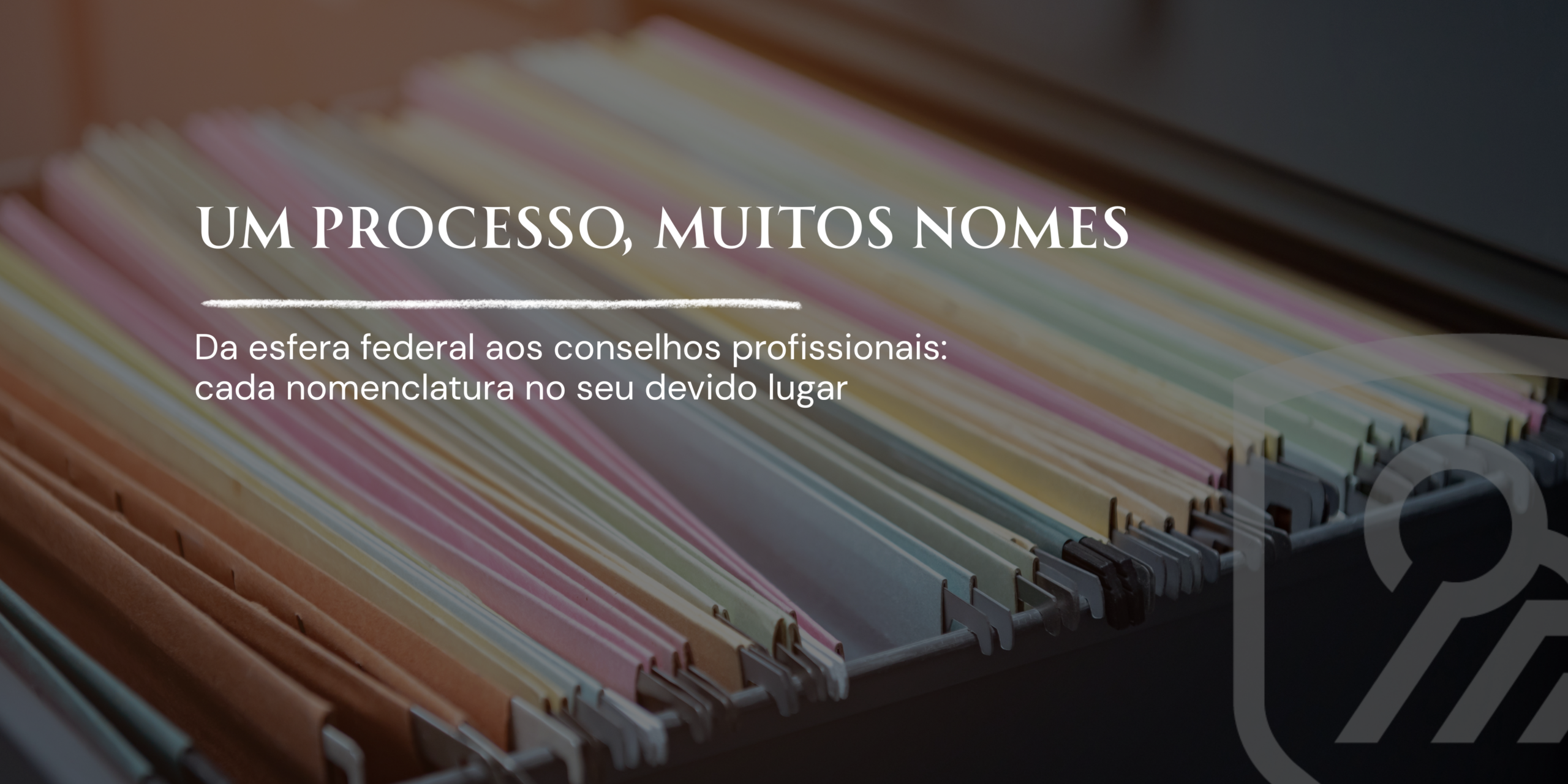 advogado especialista em processo administrativo disciplinar analisando documentos de PAD